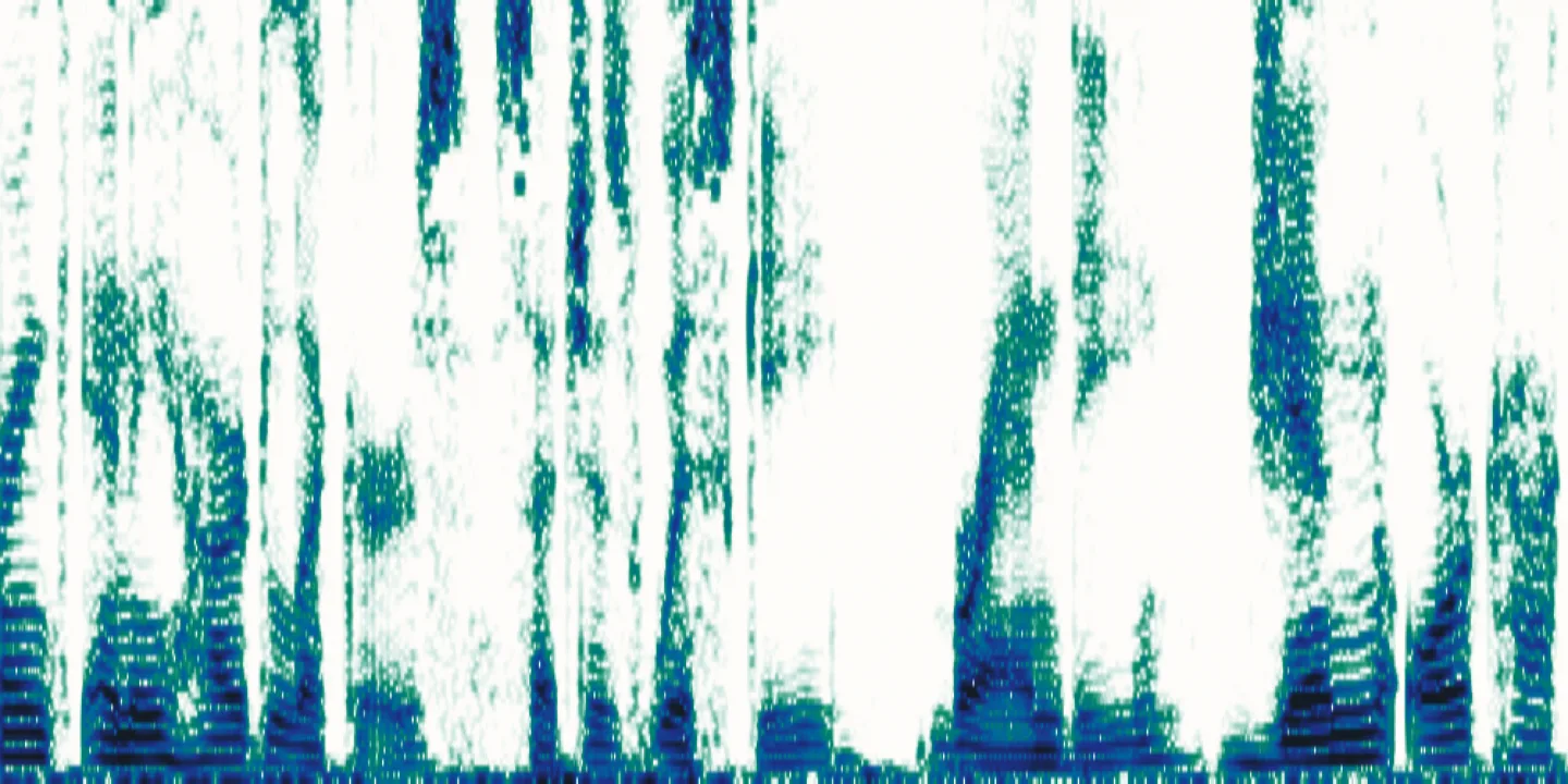 Speech spectrogram with harmonic bands